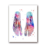 Skeleton Anatomy Canvas Art
