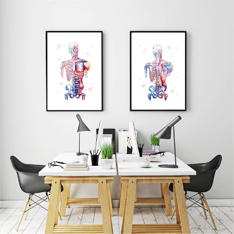 Canvas Art Printed Modular Picture Human Muscles Nordic Poster Skeleton Anatomy Watercolor Painting Body Medical Wall Decoration