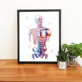 Canvas Art Printed Modular Picture Human Muscles Nordic Poster Skeleton Anatomy Watercolor Painting Body Medical Wall Decoration
