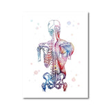 Skeleton Anatomy Canvas Art