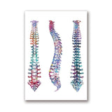 Skeleton Anatomy Canvas Art