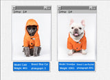 Waterproof Winter Dog Clothes Spitz Jacket with Hood