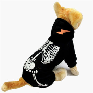 Skeleton Dog Coat For Small Pets