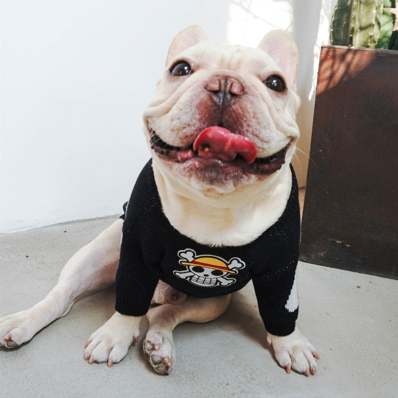 Dog Skull Print Sweater For Small - Medium Dogs