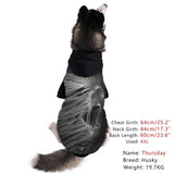 3D Skull Pet Hoodie Coat