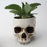 Modern Resin Statue Carved Skull Decor